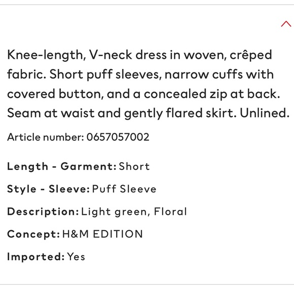 H&M Green Floral Dress Size 10 - Picture 7 of 7